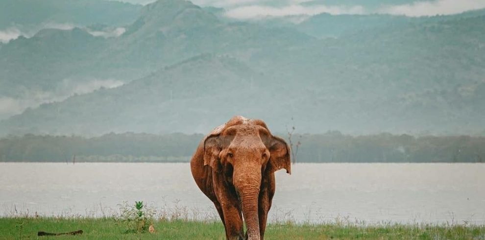 Destinations 1b504301ab318845c403818ffe547955