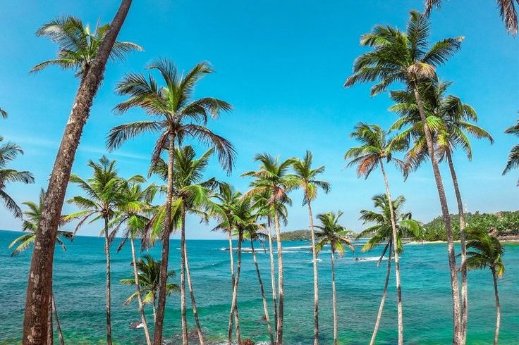 Destinations love letter to cape weligama 🌊💫
