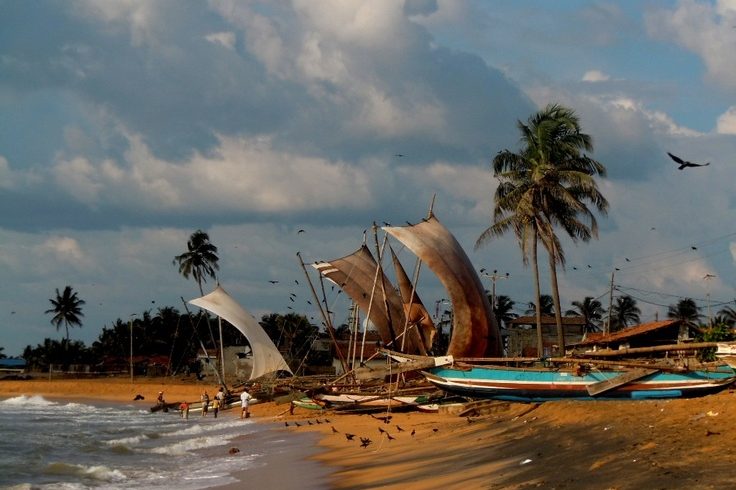 Destinations negombo, sri lanka (1)