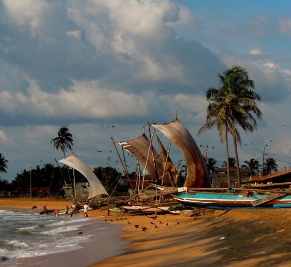 negombo, sri lanka