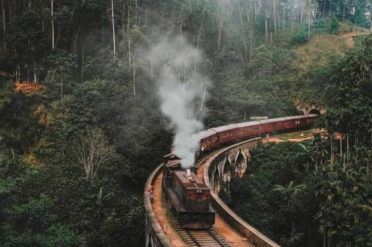 Destinations nine arch train tour, demodara, ella, sri lanka 🤩👌 (1)