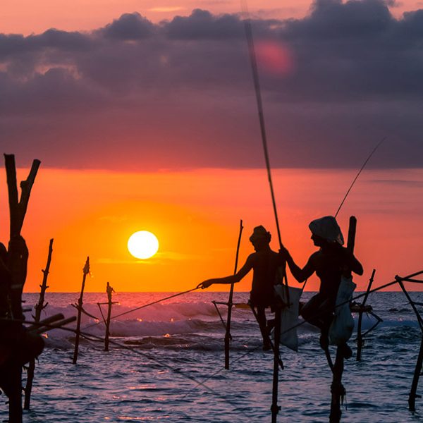 serena travels about us traditional stilt fisherman in sri lanka (4)