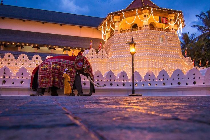 Wilderness Adventures – Sri Lanka (CODMC/7Days/03) sri dalada maligawa, kandy