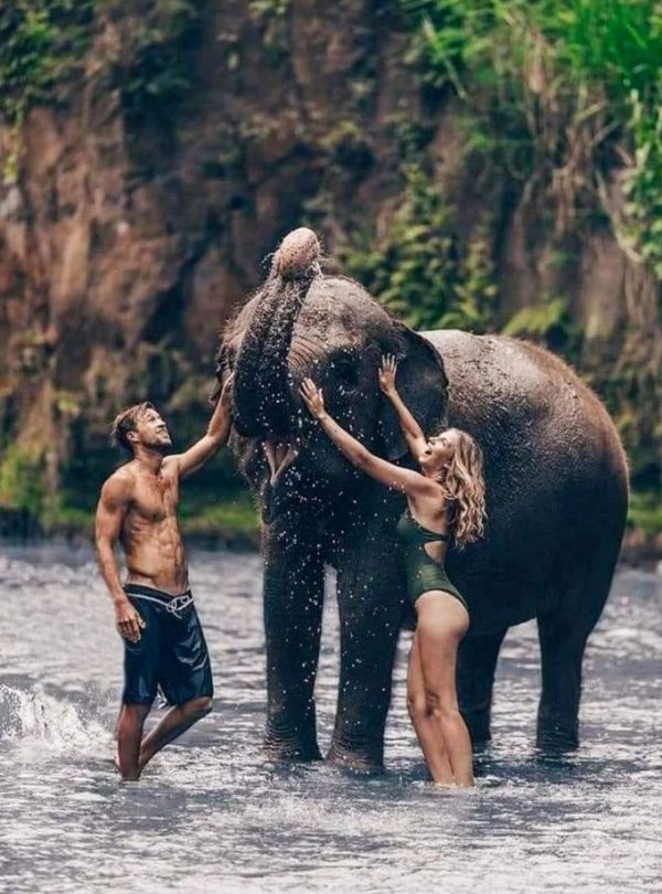 sri lanka's pinnawala elephant haven