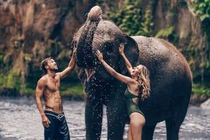 Destinations sri lanka's pinnawala elephant haven